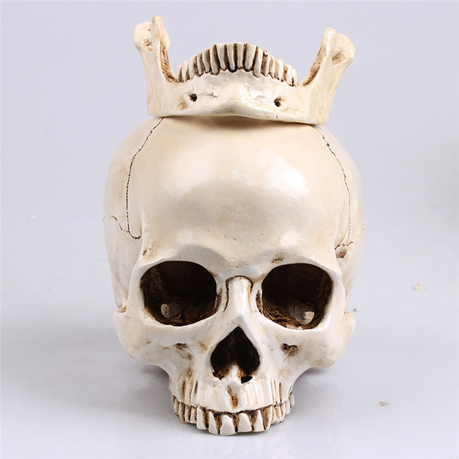 Cranio umano piccolo modello anatomico teschio scheletro modellino